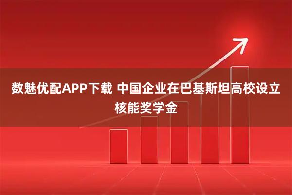 数魅优配APP下载 中国企业在巴基斯坦高校设立核能奖学金