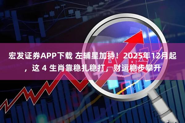 宏发证券APP下载 左辅星加持！2025年12月起，这 4 生肖靠稳扎稳打，财运稳步攀升