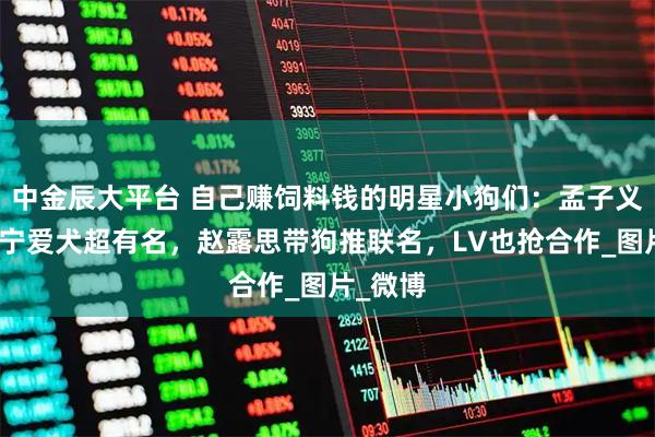 中金辰大平台 自己赚饲料钱的明星小狗们：孟子义、刘宇宁爱犬超有名，赵露思带狗推联名，LV也抢合作_图片_微博