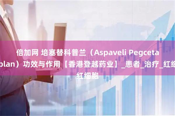 倍加网 培塞替科普兰(Aspaveli Pegcetacoplan)功效与作用【香港登越药业】_患者_治疗_红细胞