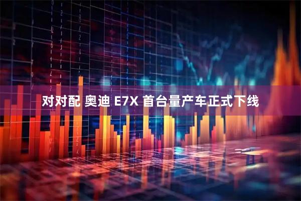 对对配 奥迪 E7X 首台量产车正式下线